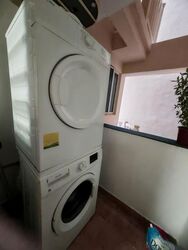 Emerald Garden (D1), Condominium #552354971